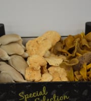 Trapon Champignons - Mélange Forestier 1kg