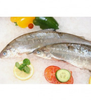Ma poissonnière - Fera Du Lac - 2 Pièces De 400 G