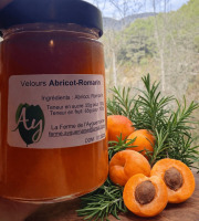 La Ferme de l'Ayguemarse - VELOURS ABRICOT ROMARIN