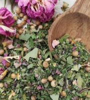 La Cabane à plantes - Expédition au Maroc