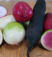 Le Pré de la Rivière - Radis d'hiver : Daikon, Rose de chine, Noir - Pack 4kg