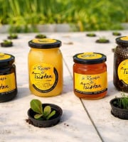 Nature et Saveurs - Ferme Aquaponique et Permacole Astérienne - Duo de miels du Périgord — Sélection du moment