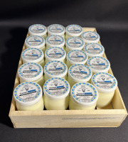 Laiterie de la Nive - Yaourt Nature au lait de brebis  x34