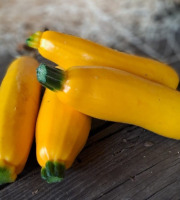 Les Jardins de Gérard - Courgette jaune Bio - 500 g