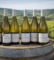 Domaine ROUX-GROS - Offre découverte vin Mâcon 2022 6x75cl