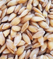 Mon Petit Producteur - Millet décortiqué Bio [vendu Par 500 g]+