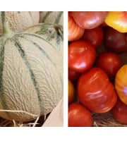 Domaine Reverchon - Melon du Vaucluse x2 + 2kg Tomates anciennes