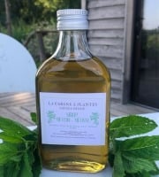 La Cabane à plantes - Sirop de Menthe et Mélisse 20cl