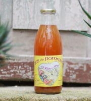 Cidrerie La Vallée du Mel - Jus de Pomme Naturel - 6 Bouteilles Médaille OR concour régional  Breatgne 2025