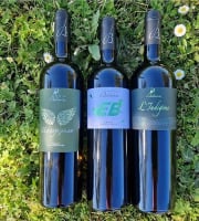 Château Balsamine - Lot Blanc Sec – AOP Gaillac – Château Balsamine – 3 Cuvées (6 bouteilles)