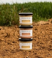 Payzan - Gamme Houmous x3