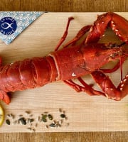La Criée d'à Côté - Homard Bleu Cuit - 800g