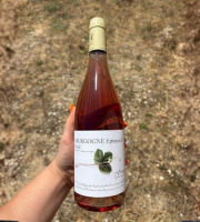 Domaine Céline Coté - Bourgogne Epineuil Rosé 2025