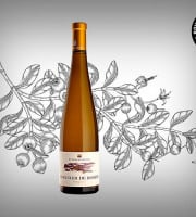 Boucherie Moderne - Vin blanc Viognier de Rosine - 75cl