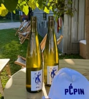 Pépin - Vin blanc Riesling Pépin 75clx6