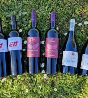 Château Balsamine - Lot Rouge – AOP Gaillac – Château Balsamine – 4 Cuvées (6 bouteilles)