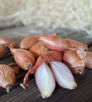 Les Jardins de Gérard - Echalote Bio - 300 g