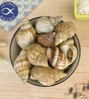 La Criée d'à Côté - Bulots Vivants | 3kg