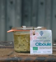 ChâteauFer - Tartinade d'oignon ciboule - Lactofermentation