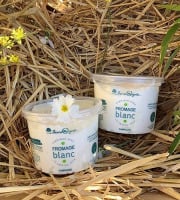 FermOgout - Fromage Blanc Campagne 500g Onctueux - Lot de 2