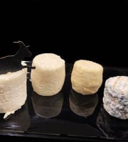 Ferme les Avoineries - Petits chèvres variés x8