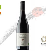 Domaine Ricardelle de Lautrec - Julille 2021 x6 – Vin rouge bio et biodynamique, profond et harmonieux