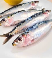 La Criée d'à Côté - Sardines fraîches - 1Kg