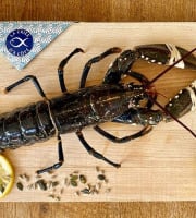 La Criée d'à Côté - Homard Bleu Européen Vivant - 450 à 550g