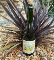 Cidrerie La Vallée du Mel - Cidre DEMI-SEC - 6 Bouteilles