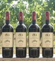 Domaine la Paganie - Vin rouge de Cahors élevé en fût – L’Origine 2020 – 6 bouteilles
