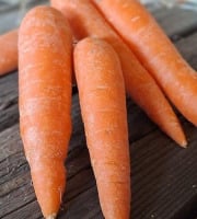 Les Jardins de Gérard - Carotte lavée Bio - 3 kg