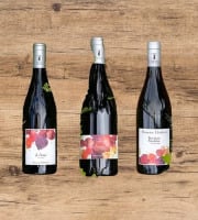 Domaine Childéric - Colis découverte de vins rouges Domaine Childéric