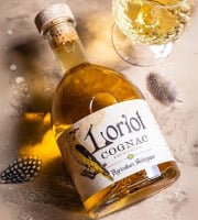 Alcools Vivant - Cognac Excellence LORIOT Bio 70cl