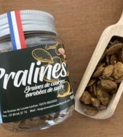 Les Graines de Louise - Pralines de Courge Biologique pot 100g