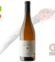 Domaine Ricardelle de Lautrec - Viognier Délice Ricardelle x6 – Une parenthèse florale et lumineuse à partager
