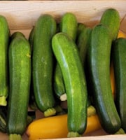 Le Pré de la Rivière - Courgettes vertes bio 2kg - Origine France