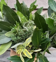 La Cabane à plantes - Bouquet garni