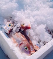 Notre poisson - Colis du pêcheur 2kg