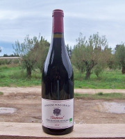 Domaine Pons Gralet - Vin Rouge IGP - AOP Cotes du Roussillon Villages Tautavel 2023 Bio x6
