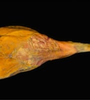 Maison DEHESA - Jambon Serrano Bodega désossé