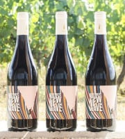 Domaine la Paganie - Vin Rouge bio - Malbec New Wave - 3 bouteille