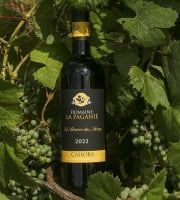 Domaine la Paganie - Vin rouge en Réserve Perpétuelle - Réserve des Henry 2022 - 1 bouteilles
