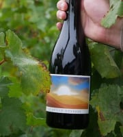 Pépin - Vin rouge nature Saillant - La petite Odyssée 75clx6