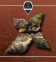 Saint Kerber - Cancale - Bulots cuits au piment d'Espelette 3kg