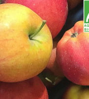 Mon Petit Producteur - Pomme Gala ou Pomme Du Moment Bio - [vendu Par 3 Kg]+