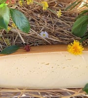 FermOgout - 1/2 Saint Fuscien - 4,5kg