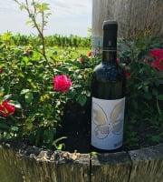 Domaine du Buisson - AOP Bordeaux rouge - 2022 - 1x75cl