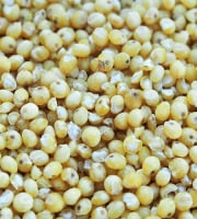 Mon Petit Producteur - Petit épeautre décortiqué Bio [vendu Par 1 Kg]+