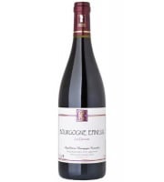 Domaine Céline Coté - Bourgogne Epineuil Les Dannots 2022