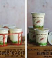 Ferme Chambon - Yaourts au Lait Cru de Vache et aux Fruits (Abricots) x8